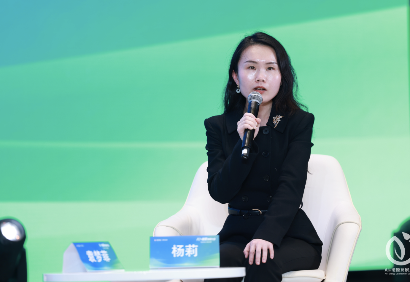中科天机杨莉：AI赋能气象预测，坚守物理机理破解新能源“靠天吃饭”痛点
