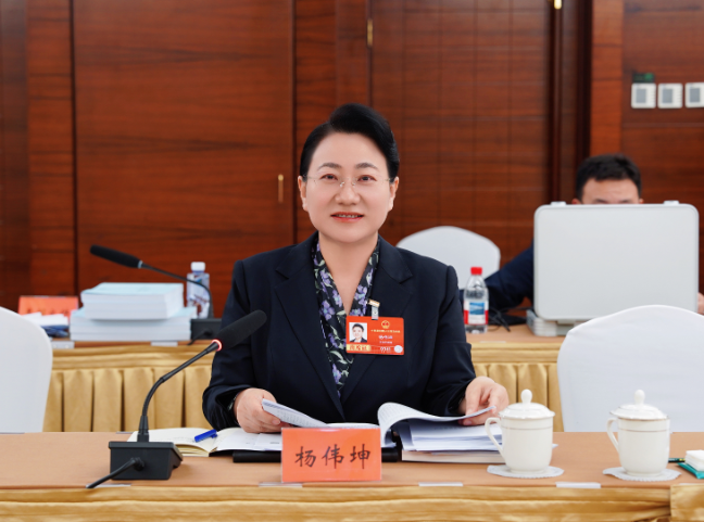 杨伟坤：加快推进全面电气化电热化 为绿色低碳发展注入强劲动能