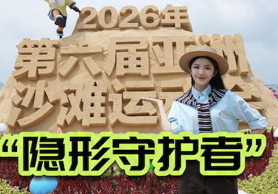 隐形守护者