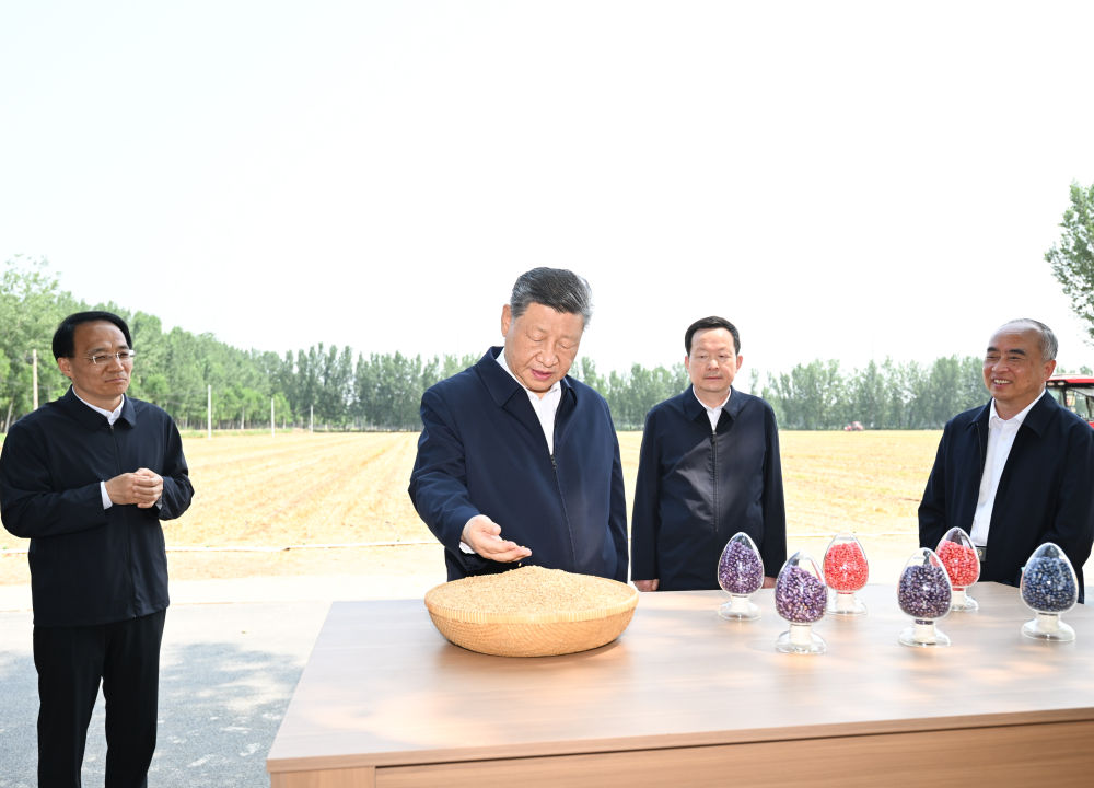 跟随总书记走进田间 感受智慧“三夏”