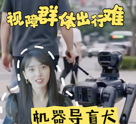 视障群体出行难 机器导盲犬能否打破困境